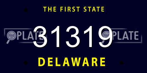 31319 Delaware License Plate