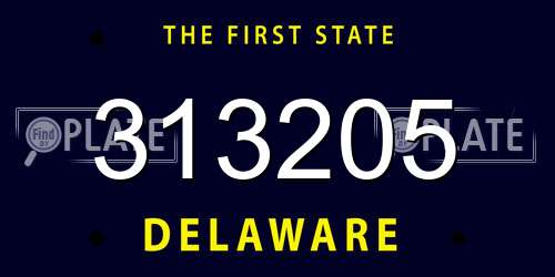 313205 Delaware License Plate