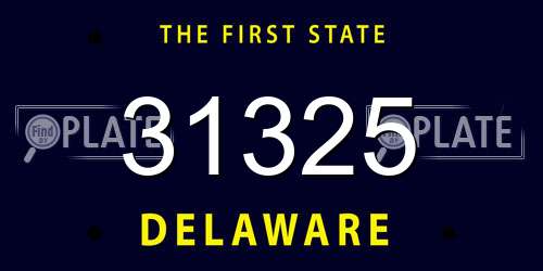 31325 Delaware License Plate