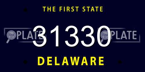 31330 Delaware License Plate