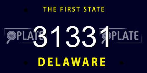 31331 Delaware License Plate