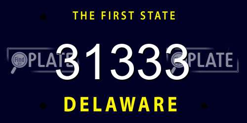 31333 Delaware License Plate