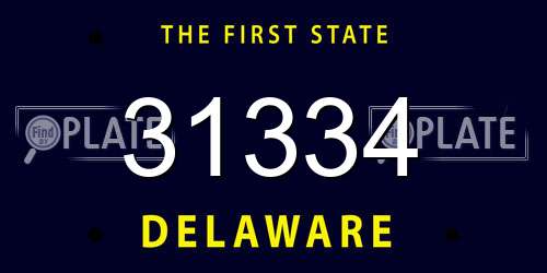 31334 Delaware License Plate
