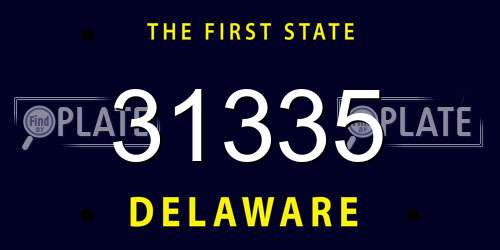 31335 Delaware License Plate