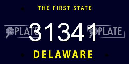 31341 Delaware License Plate