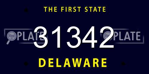 31342 Delaware License Plate