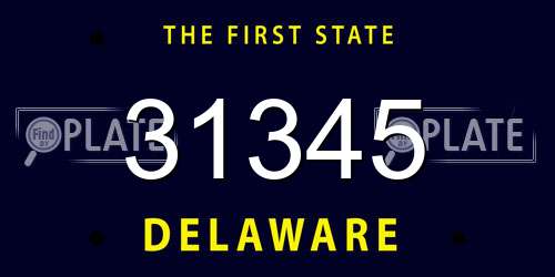 31345 Delaware License Plate