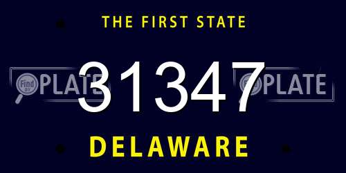 31347 Delaware License Plate