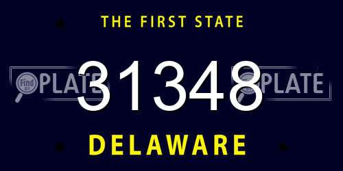 31348 Delaware License Plate