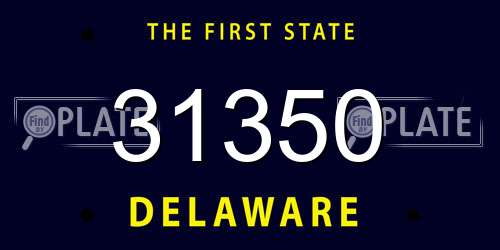 31350 Delaware License Plate