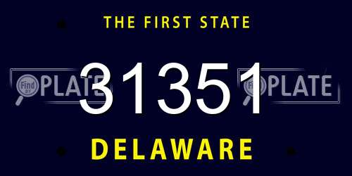 31351 Delaware License Plate