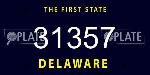 31357 Delaware License Plate
