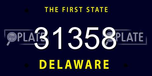 31358 Delaware License Plate