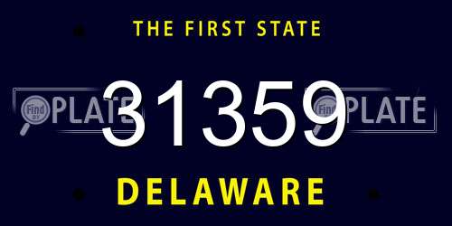 31359 Delaware License Plate