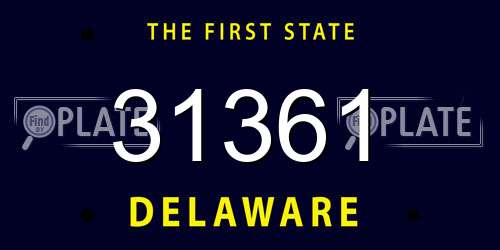 31361 Delaware License Plate