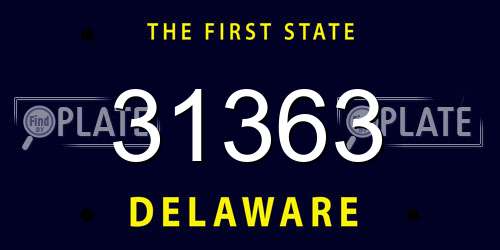 31363 Delaware License Plate