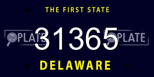 31365 Delaware License Plate