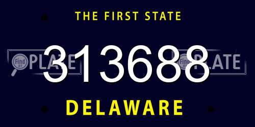 313688 Delaware License Plate