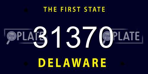 31370 Delaware License Plate