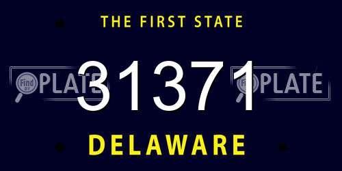 31371 Delaware License Plate