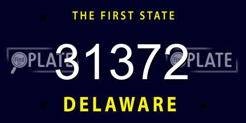 31372 Delaware License Plate