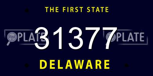 31377 Delaware License Plate
