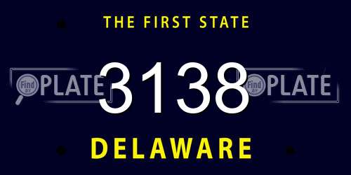 3138 Delaware License Plate