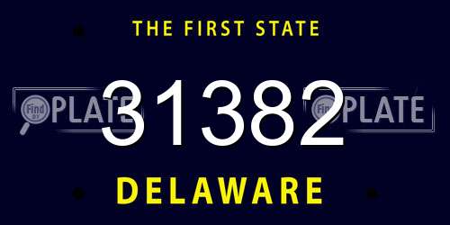 31382 Delaware License Plate