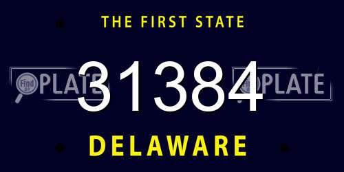 31384 Delaware License Plate