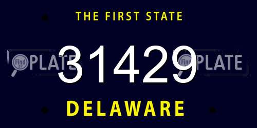 31429 Delaware License Plate
