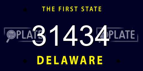 31434 Delaware License Plate