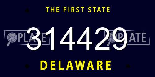 314429 Delaware License Plate