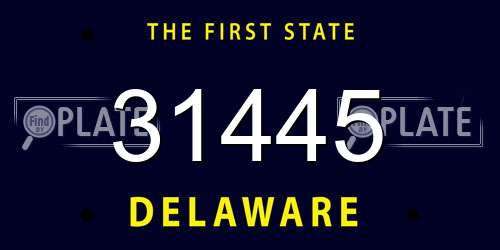 31445 Delaware License Plate