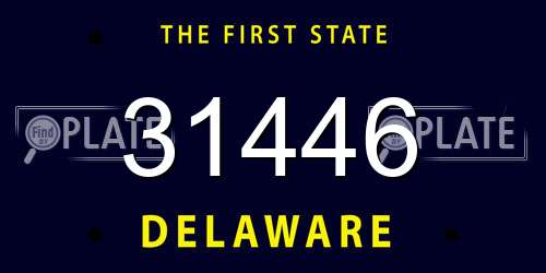 31446 Delaware License Plate