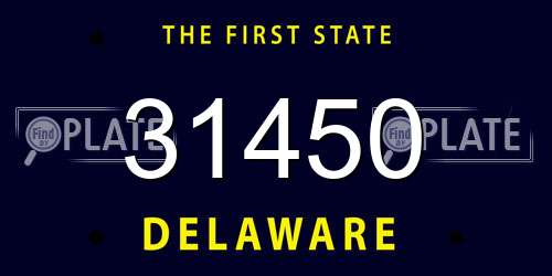 31450 Delaware License Plate