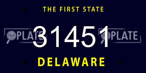 31451 Delaware License Plate