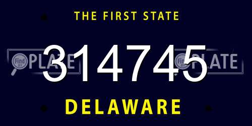 314745 Delaware License Plate
