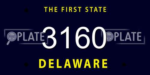 3160 Delaware License Plate