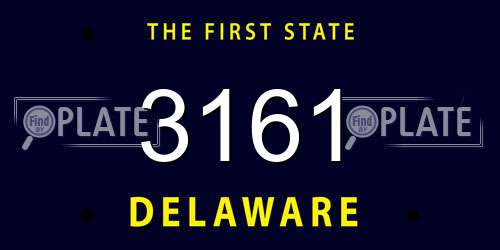 3161 Delaware License Plate
