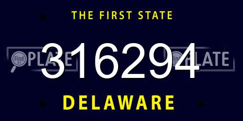 316294 Delaware License Plate