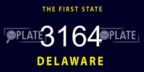 3164 Delaware License Plate