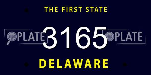 3165 Delaware License Plate