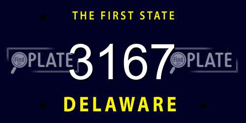 3167 Delaware License Plate
