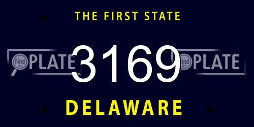 3169 Delaware License Plate