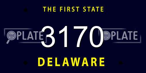 3170 Delaware License Plate