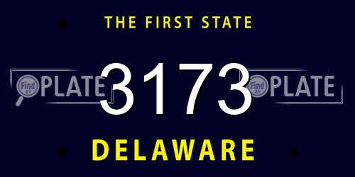3173 Delaware License Plate