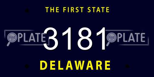 3181 Delaware License Plate