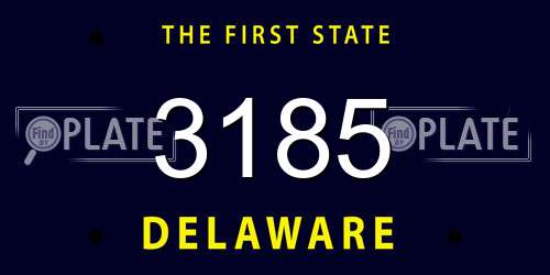 3185 Delaware License Plate