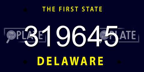 319645 Delaware License Plate
