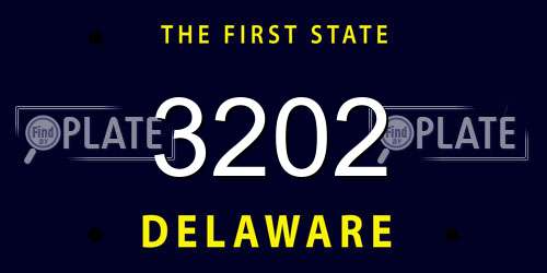 3202 Delaware License Plate